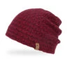 Sunday Afternoons Arctic Dash Beanie